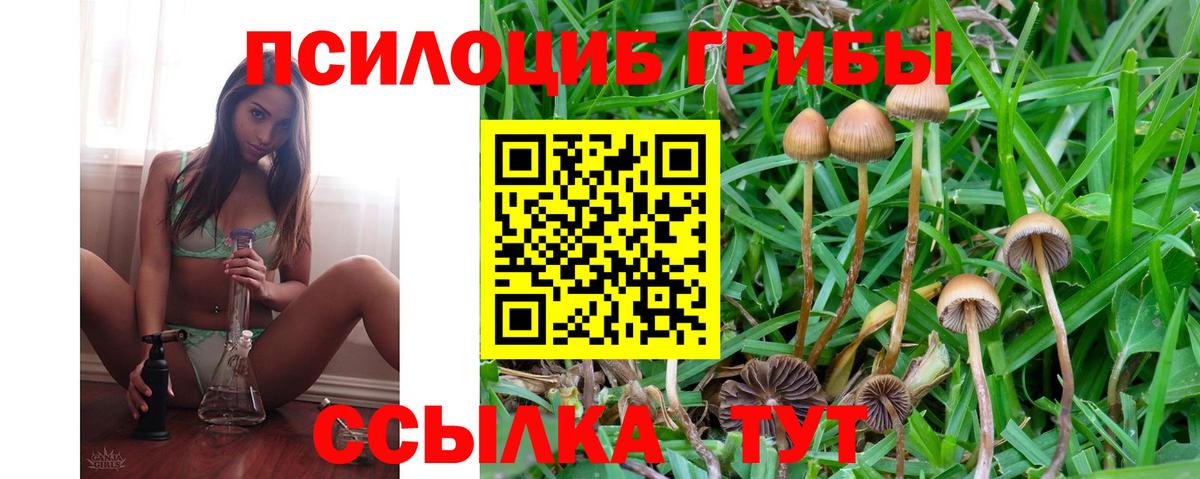 Псилоцибиновые грибы MAGIC MUSHROOMS Люберцы