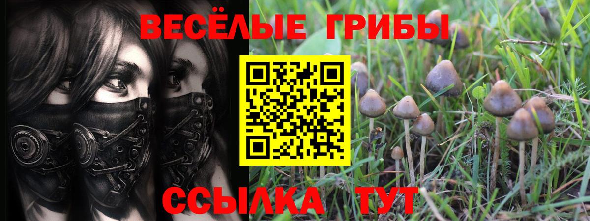 Галлюциногенные грибы мицелий  Вход с VPN  Люберцы 